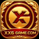 xx6